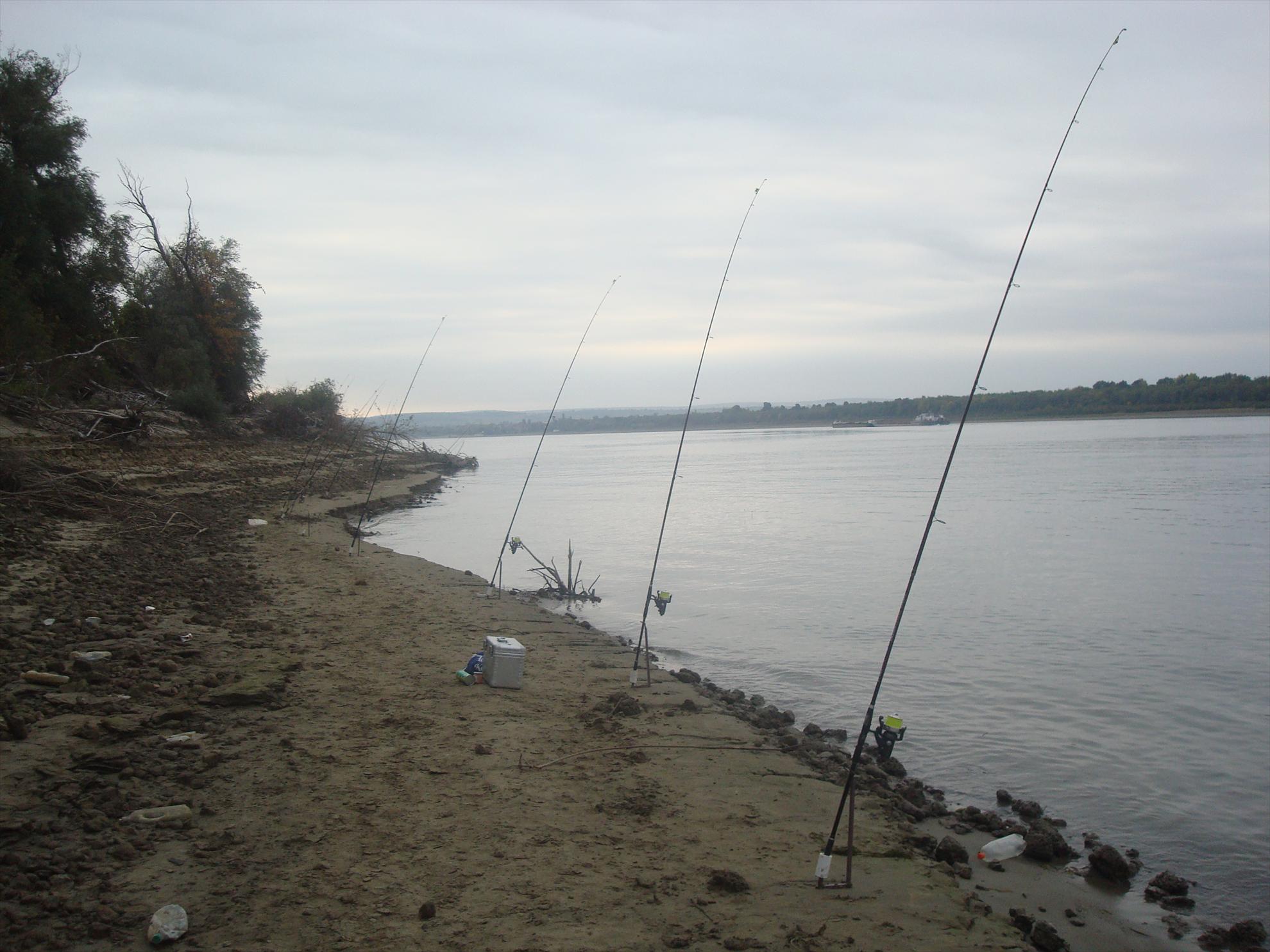 pescuit la Dunare - dsc04629.JPG